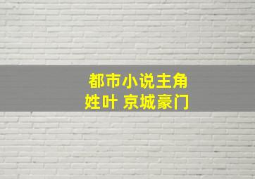 都市小说主角姓叶 京城豪门